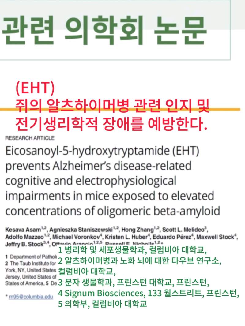 메모리 포뮬러700mg×30정(건강식품)