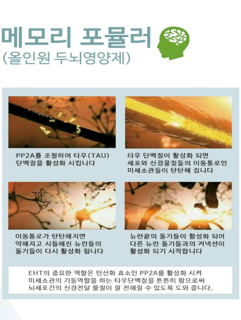 메모리 포뮬러700mg×30정(건강식품)